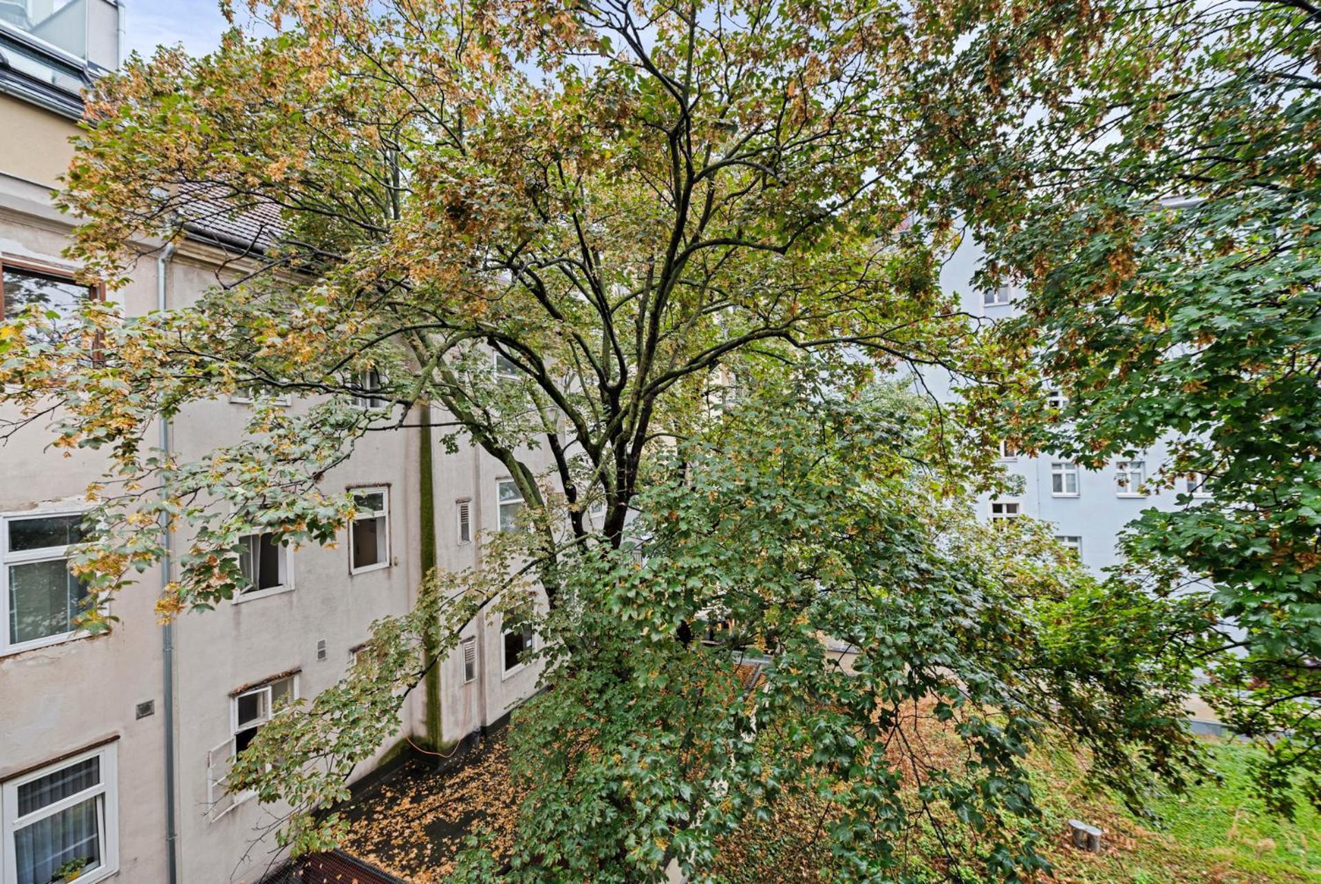 Cozy, Generous City Apartment - 10 Min To City-Centre - Contactless 24H Check-In ウィーン エクステリア 写真